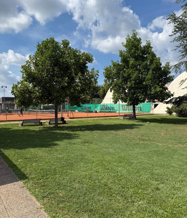 Tennis Comunali Lonigo il Circolo (1)